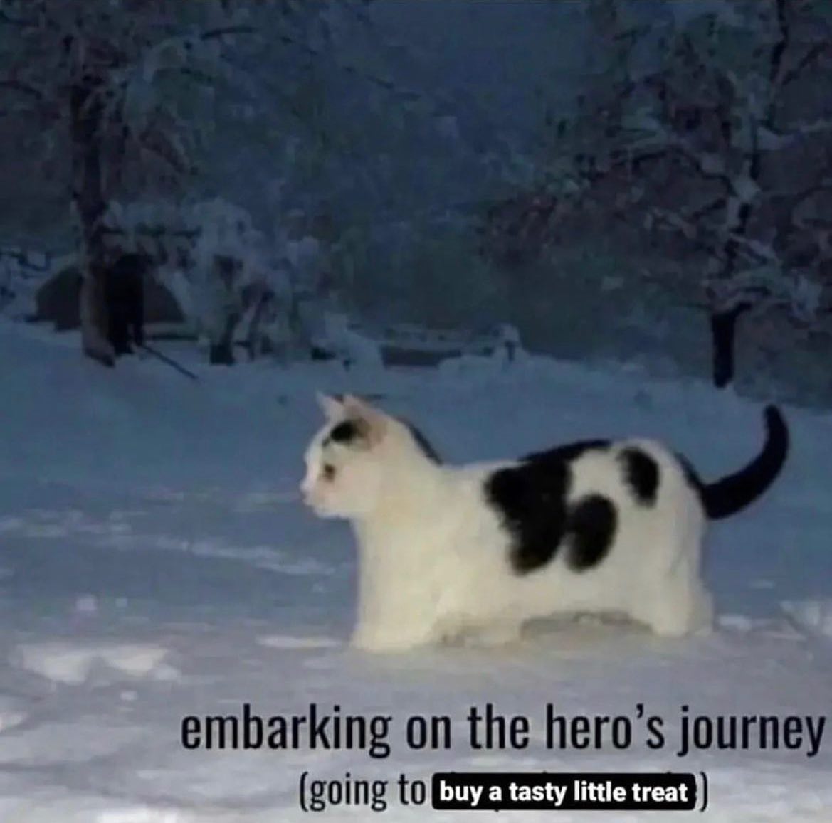 PunchingCat's tweet photo. https://t.co/4rnILVy1KC