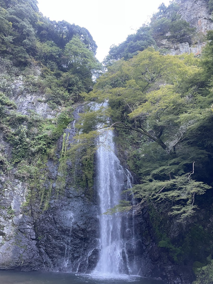 tyouminn38's tweet photo. 箕面の滝道、肌寒い😅 https://t.co/UkQeMPI3xs