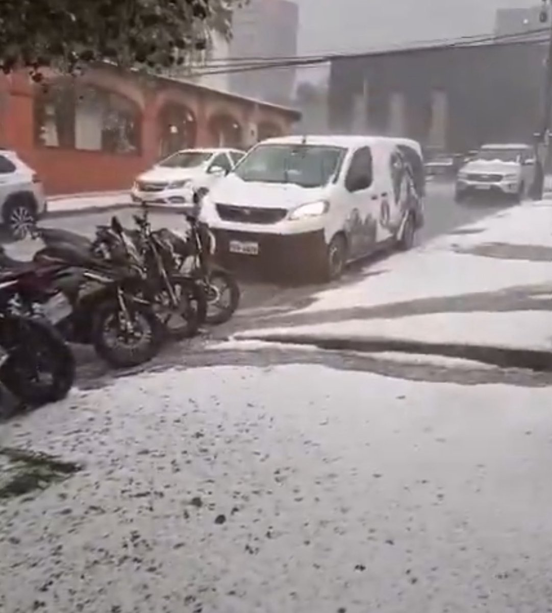 PrimatesUIO's tweet photo. - Decido lavar el carro
Quito en su día más tranquilo https://t.co/PZFoZqwiMg