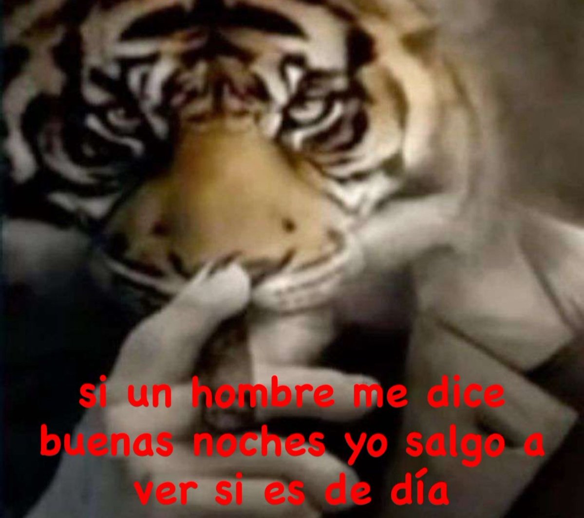 thsbloom's tweet photo. en efecto lo mismo van a decir en todos los países https://t.co/N3j9twBRzk