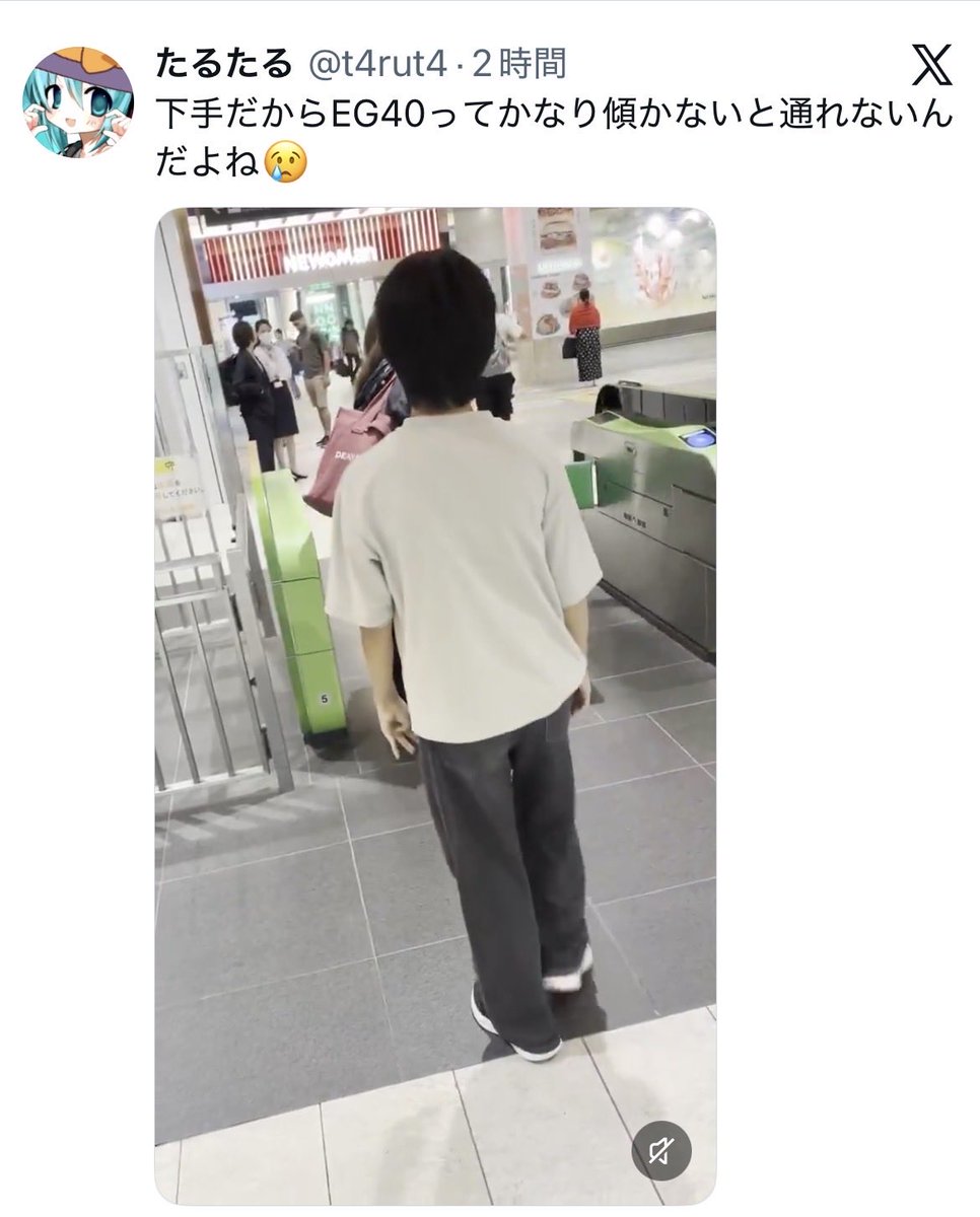 oy17md's tweet photo. なるほど無賃乗車の常習犯か😑
鉄道警察に捕まった時に
利用区間の3倍まで請求される可能性が
あるからお金準備しておけよ😗 https://t.co/ZG2SSnRxmL https://t.co/cgBvasSAAt