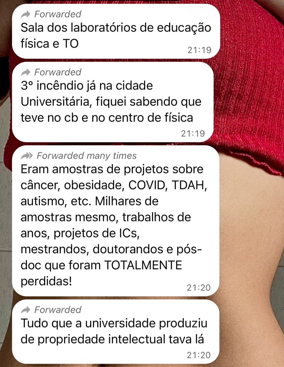 steinpica's tweet photo. "não existe ataque a democracia", "Flávio hipotético", na mesma semana ato terrorista que só acaba com algo que benfico pra população kkkkkkkkkkkkk https://t.co/gzI8eDUxC4