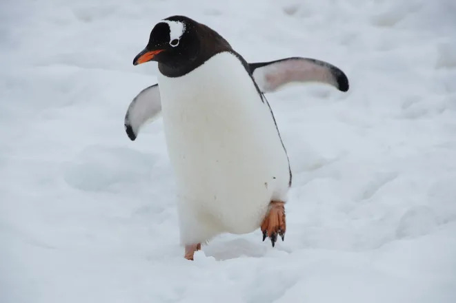HostingJournal's tweet photo. #CloudHosting AWS Gets Linux Foundation Board Seat With Membership Upgrade dlvr.it/TVqPKv https://t.co/gCvsEiKg0t