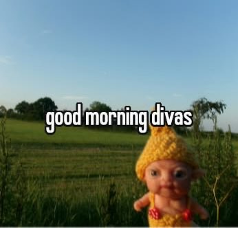 Sol31196325's tweet photo. good morning chat! https://t.co/QNlXfSjiWV