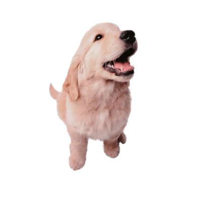 florsoleadaa's tweet photo. ⠀
⠀⠀ׄ🧸ִ⠀︵⠀⠀𝐖𖹭𖹭𝑓⠀﹐  𝗐𖹭𖹭𝒇 ᅠֶָ֢⎖
⠀ https://t.co/koMPHEcIn6