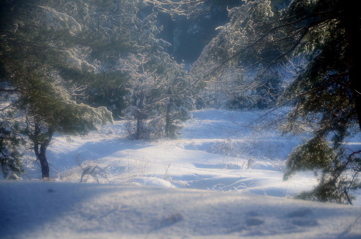 iglooicicle's tweet photo. scenic. https://t.co/tYn0aV2OkA