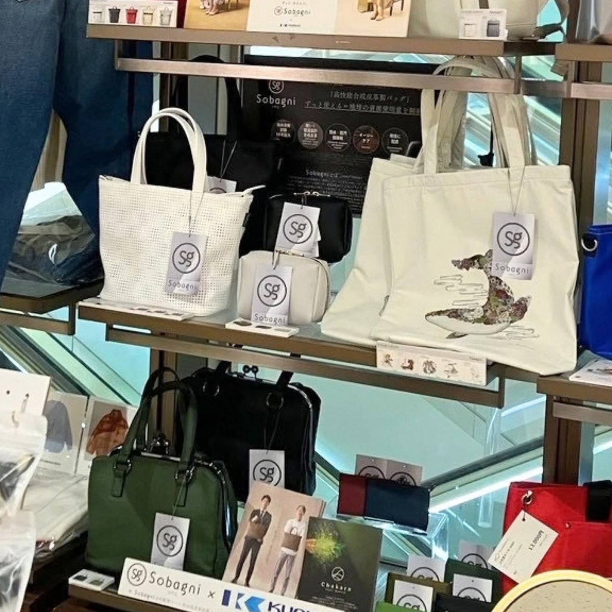 sobagni_leather's tweet photo. @sobagni_leather
大阪髙島屋で開催中のSEPLÚMO POPUPに、Sobagniも出店しています。
実際に手に取って、素材の質感や軽さをお確かめいただける機会です。
10/13まで。
▼Sobagni公式サイト
https://t.co/QmI6Hf95hy
#Sobagni #SEPLUMO #TSUNAGUACTION #大阪高島屋 #サステナブル https://t.co/NvZYE8L8kD