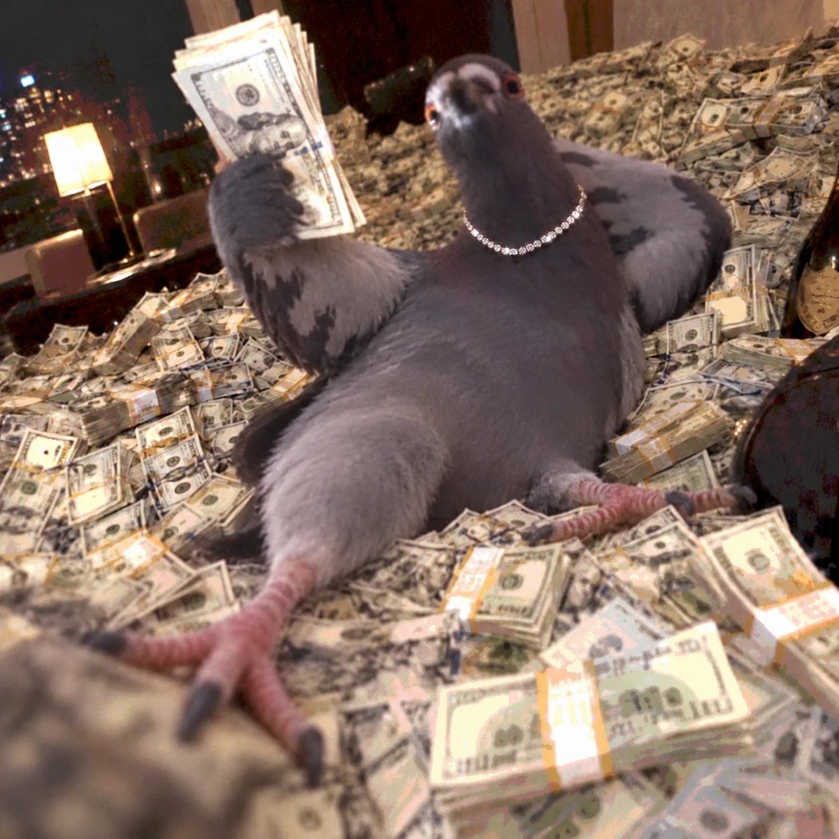 andre3059486734's tweet photo. be like andre the pigeon:

great bread and shit on mfs https://t.co/37T6V3DAfz