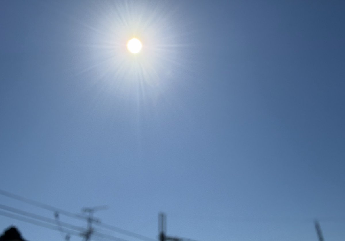 yuki135135's tweet photo. 今日は360°どこを切り取っても
雲ひとつないお空！

風は冷たくて心地よいけど、お日さまは
少しやる気を出しすぎかも☀️

今日も無事に乗り切れますように
午後からもいいことありますように https://t.co/DQ7Yz8fSbu