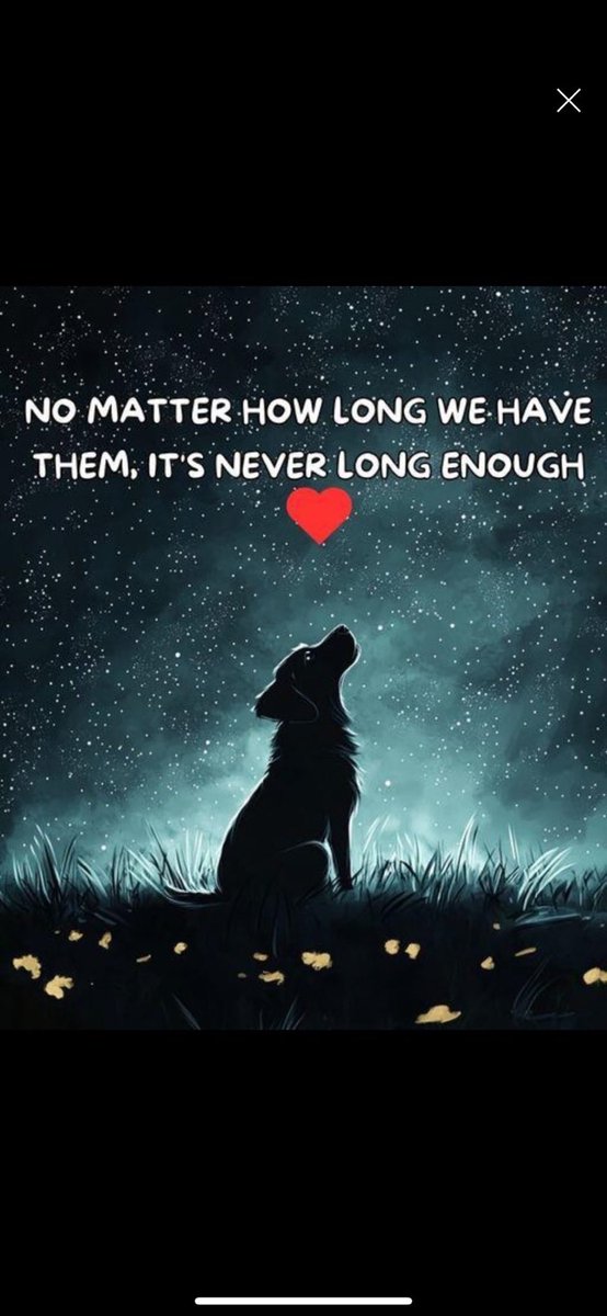 DAVServiceDog's tweet photo. @NiallHarbison 😢😢😢💔💔💔🐾🦴🐾🦴🐾🦴 https://t.co/bimvKMDn0L