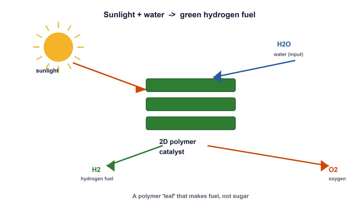tbttaif's tweet photo. Sunlight in, hydrogen out. It's a leaf that makes fuel instead of sugar: polymer crystals split water with light alone. Source: Zhuzhang et al., Nature (Aug 2026) https://t.co/YqUJJfyS0X #Chemistry #GreenHydrogen #Photocatalysis #Energy https://t.co/RPdDF9eSEA
