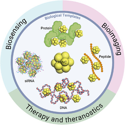 AggregateOA's tweet photo. Biological Templates for Gold Nanocluster Assembly: Design and Biomedical Applications
https://t.co/zDGLYrE39a https://t.co/XQH35feNzo