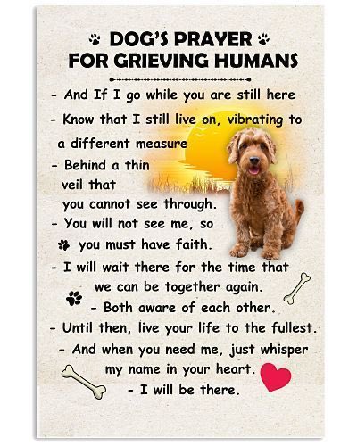 DAVServiceDog's tweet photo. @williamson_nz 😢😢😢😢💔💔💔🐾🦴🐾🦴🐾beautiful pup!!!! https://t.co/zjrEtjTZwR
