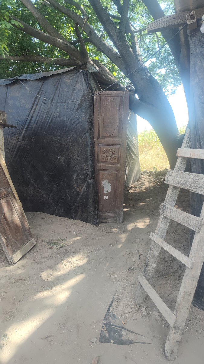 Diazroman326's tweet photo. @aiwithshriom I'm raising funds to improve my little shack. I'd appreciate any help you can give, even just $1 USD or whatever you have available via PayPal: https://t.co/lo6yr0ecnX https://t.co/IEq2ZlcyKM