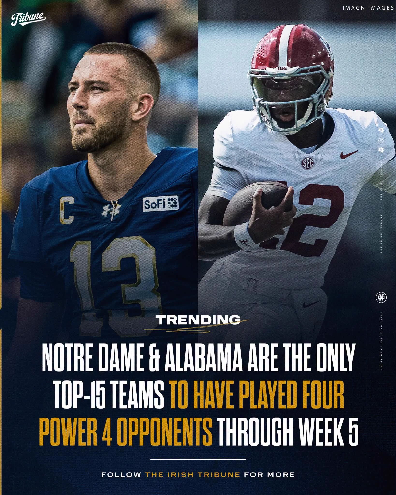 Tim Murray on X: 