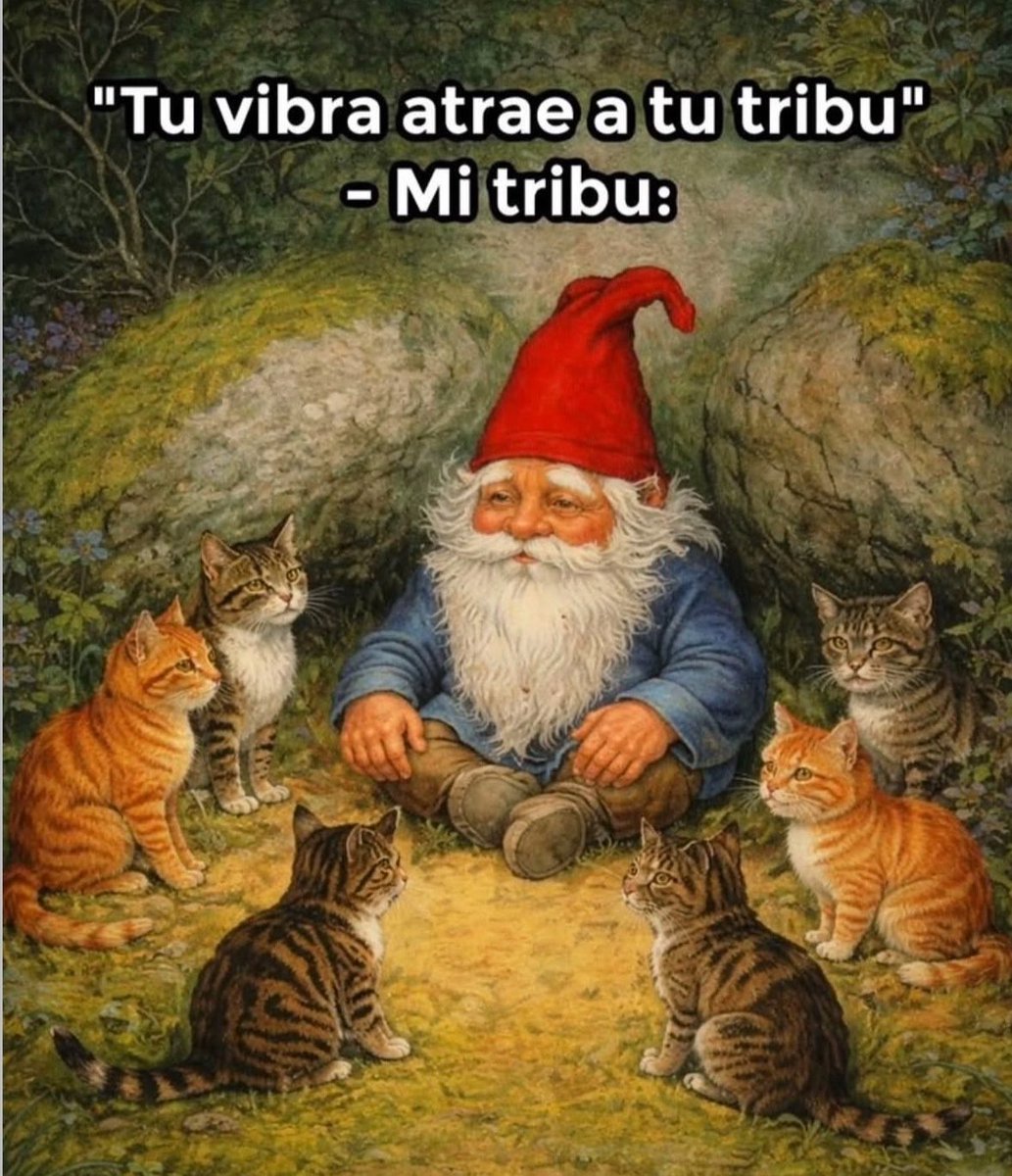norelenita's tweet photo. 😻 https://t.co/2jvuObmhkE