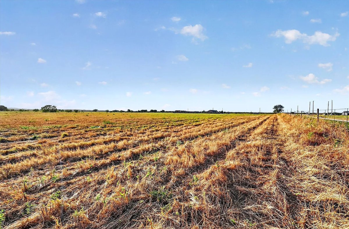 TxHorseProperty's tweet photo. PERRIN, NORTH TEXAS. 22.06 acres, ag exempt flat land. Fully fenced w/a few trees for shade. Great soil, suitable for hay production, excellent for equine use. Local wells are strong. Barndominiums welcome. $286K #txhorseproperties #perrintx #northtexas https://t.co/chYNXp4pNg https://t.co/5oHYjlRkMX