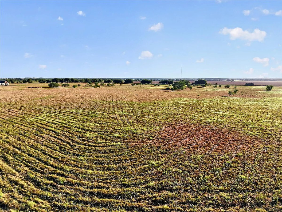 TxHorseProperty's tweet photo. PERRIN, NORTH TEXAS. 22.06 acres, ag exempt flat land. Fully fenced w/a few trees for shade. Great soil, suitable for hay production, excellent for equine use. Local wells are strong. Barndominiums welcome. $286K #txhorseproperties #perrintx #northtexas https://t.co/chYNXp4pNg https://t.co/5oHYjlRkMX