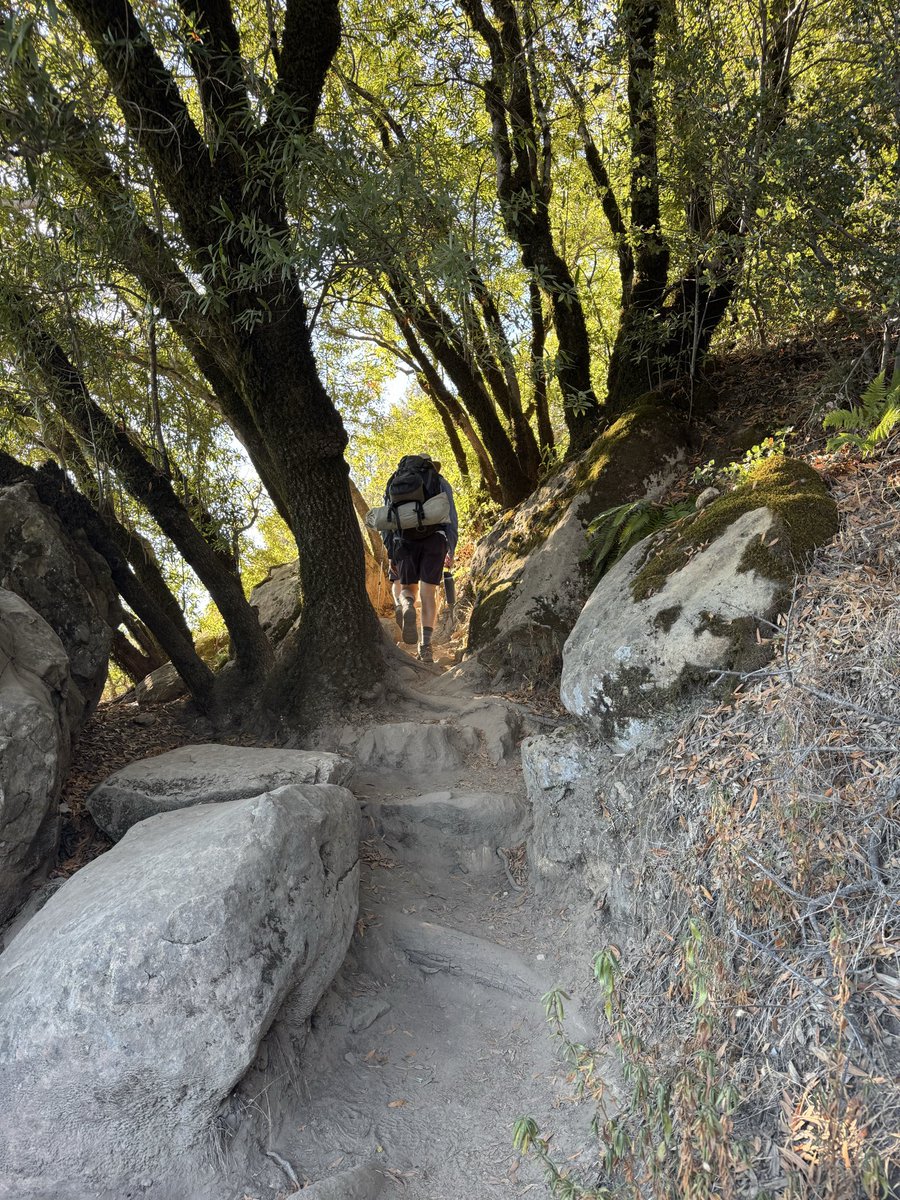 JoeMcAuliffe17's tweet photo. Just returned from a fun #backpacking trip to #CastleRock trail camp in the Santa Cruz mountains. Conditions were pretty warm but otherwise ideal for #camping

 And btw - there is no superior technology for keeping bugs off your face than an Aussie cork bush hat… https://t.co/ojidnNTc0s
