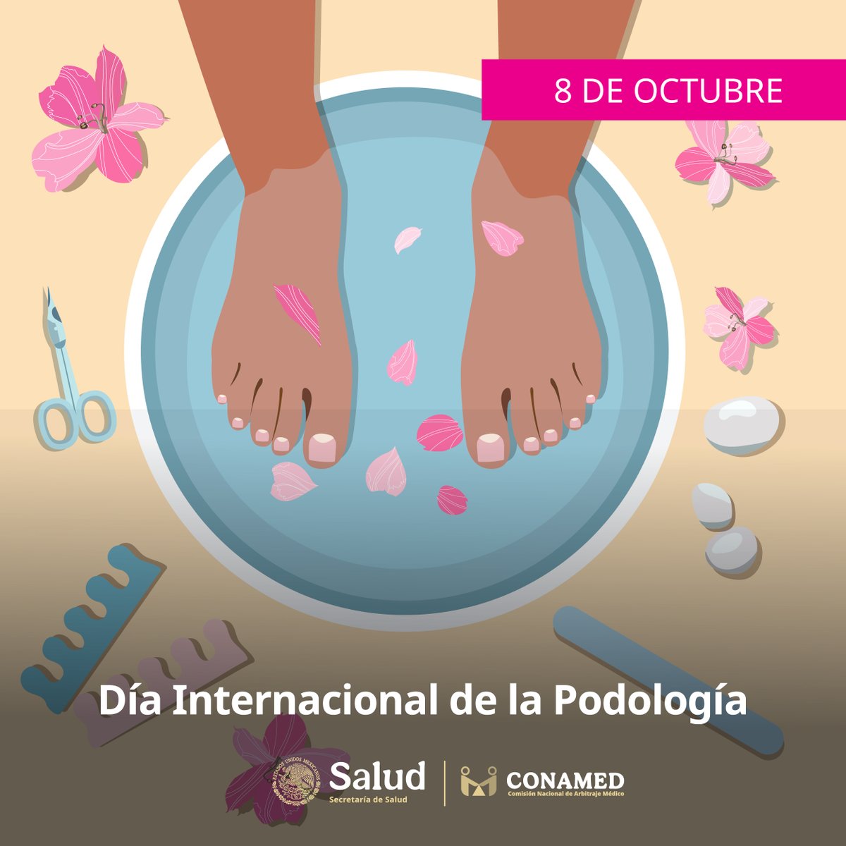 CONAMED_SALUD's tweet photo. 👣 La salud de los pies también influye en nuestra movilidad y bienestar. Este 8 de octubre, Día Internacional de la Podología, recordamos la importancia de su cuidado y atención profesional. 

#CONAMED #Podología https://t.co/afd8luygiu