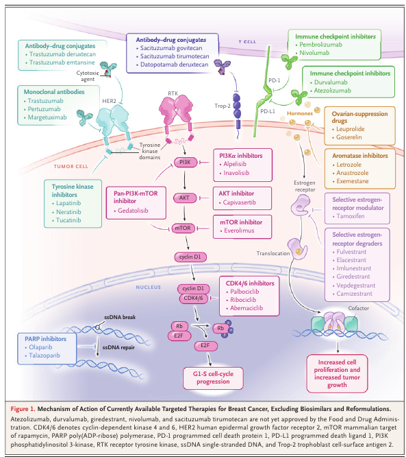 MHcsba's tweet photo. New England Journal of Medicine (NEJM) 2026: Avances en el tratamiento sistémico de cáncer de mama
#MedEd #MedTwitter #MedX
https://t.co/mPnd2VIWaZ
DOI:10.1056/NEJMra2500695 https://t.co/mP0TxwYgkf