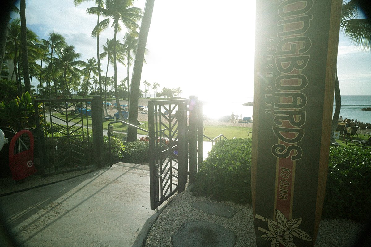 inao_toshiaki's tweet photo. WAIKIKI PHOTOGRAPH

ko olina, oahu, hawaii

Leica M11 with Elmarit-M 90mm f2.8

longboards beach club,

palm trees and open lawns,

pink hibiscus.

#hawaii #koolina #leicam11 #elmaritm90 #waikiki_inc_photograph https://t.co/6zXy2NBW1y