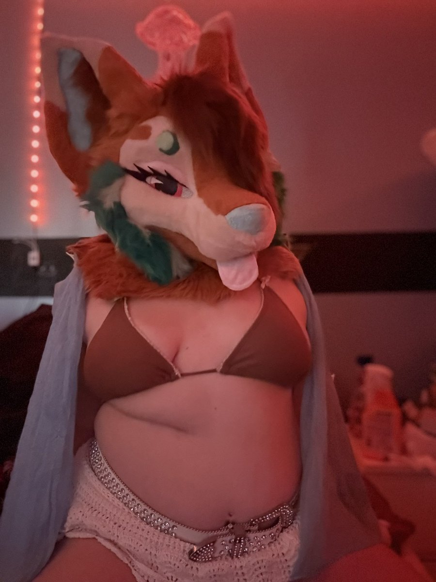 shutupshepherd's tweet photo. sea puppy gf WITH belly 
🐬🏝️☀️

#furry #furrytrend #furrygirl #furrycomminity #furryfandom #fursuit #puppygirl https://t.co/CHMyfrZWHu