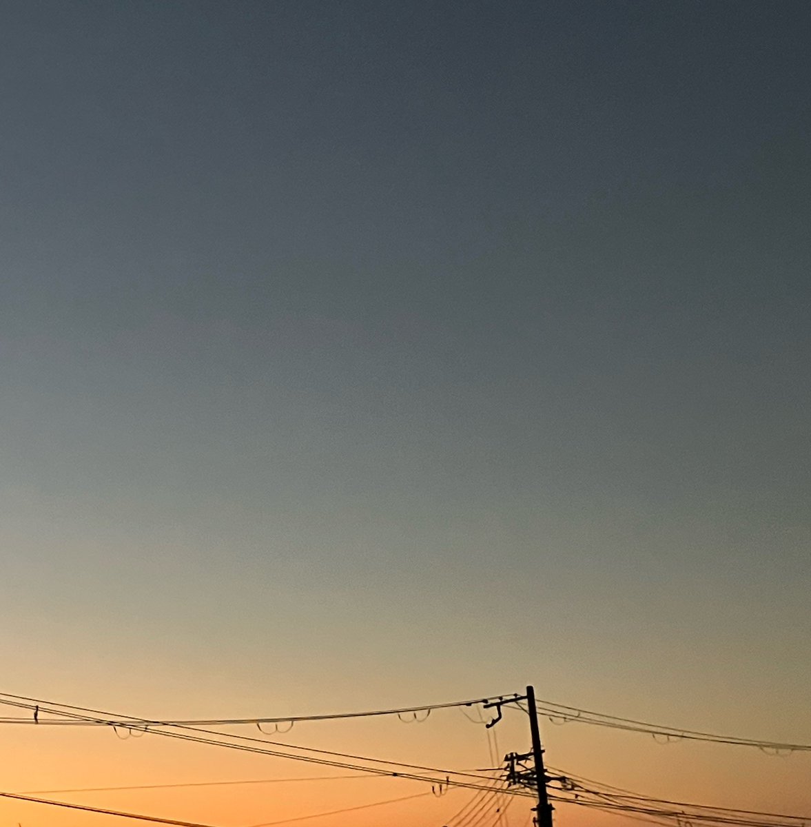 copingu's tweet photo. おはようございます。眩しすぎる青空がひろがる朝です。
今日は出動日です。済ませてしまいたいことがあるので、昨日みたいに、穏やかであればいいな。
みなさんにとって、ステキな一日になりますよ〜に。

#イマソラ #いまそら
 
夜が明ける直前の空に見惚れ、早起きしても、いつもの時間になる😅 https://t.co/qVDi0UcveV