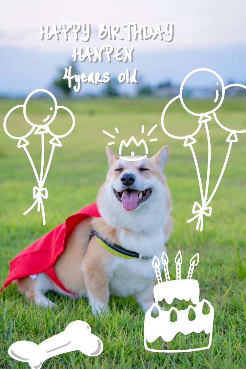 Corgi_Hanpen's tweet photo. はんぺんへ

まだまだと思ってたのが、もう気がついたら4歳になっててびっくりです。
不便はありませんか？悪いところはないですか？
これからも、健康第一で、好きなものいっぱい食べてたくさん駆け回っていこうね。
世界一愛してるよ。

パパとママより https://t.co/dS1b8Nzowq