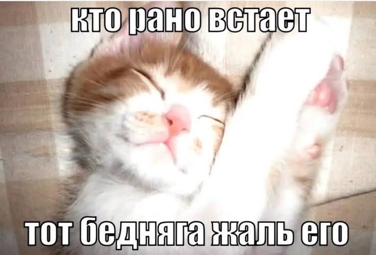 Cloovvi's tweet photo. Я не уснула, слава богу
Теперь собираюсь в больницу https://t.co/xKgQ1plT1E
