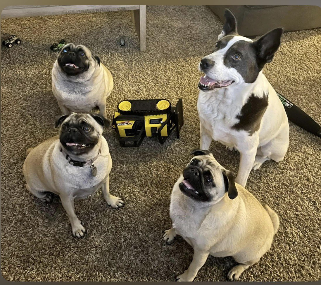 crosby_moe's tweet photo. @RealLauraSteele https://t.co/LhMv9bwvje