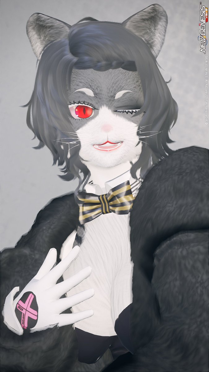 rokon_koron's tweet photo. #PSO2NGS_SS︎
モフィナティカキャット https://t.co/czTkR01r0d