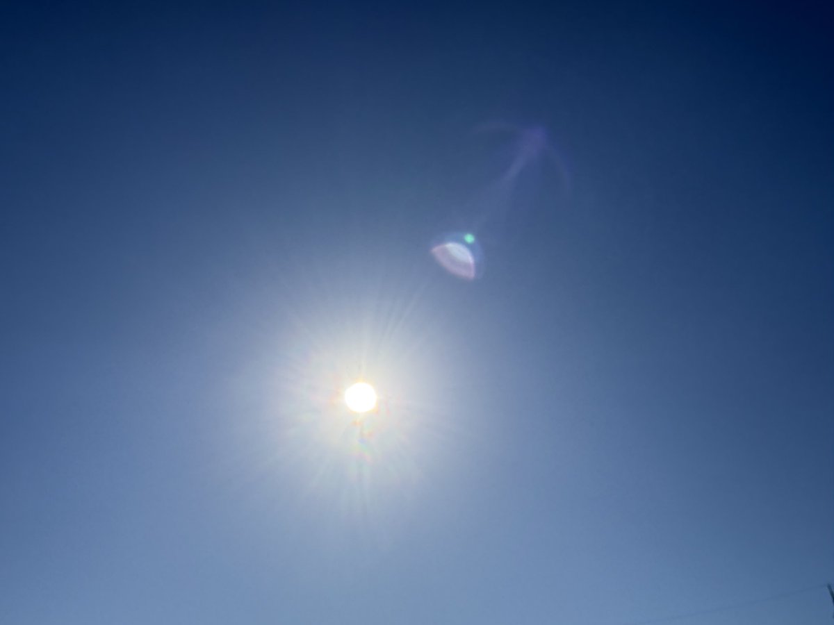 oceanmarine00's tweet photo. おはようございます！
本日の泉大津市は雲1つなく晴れています。
風は少しありますが、とても過ごしやすい気温です。
今日も1日頑張っていきましょう！！
＃イマソラ　＃泉大津市
＃企業公式が地元の天気を言い合う
 #木の日
 #そばの日
 #ようかんの日 https://t.co/ka2qKFSQ0e