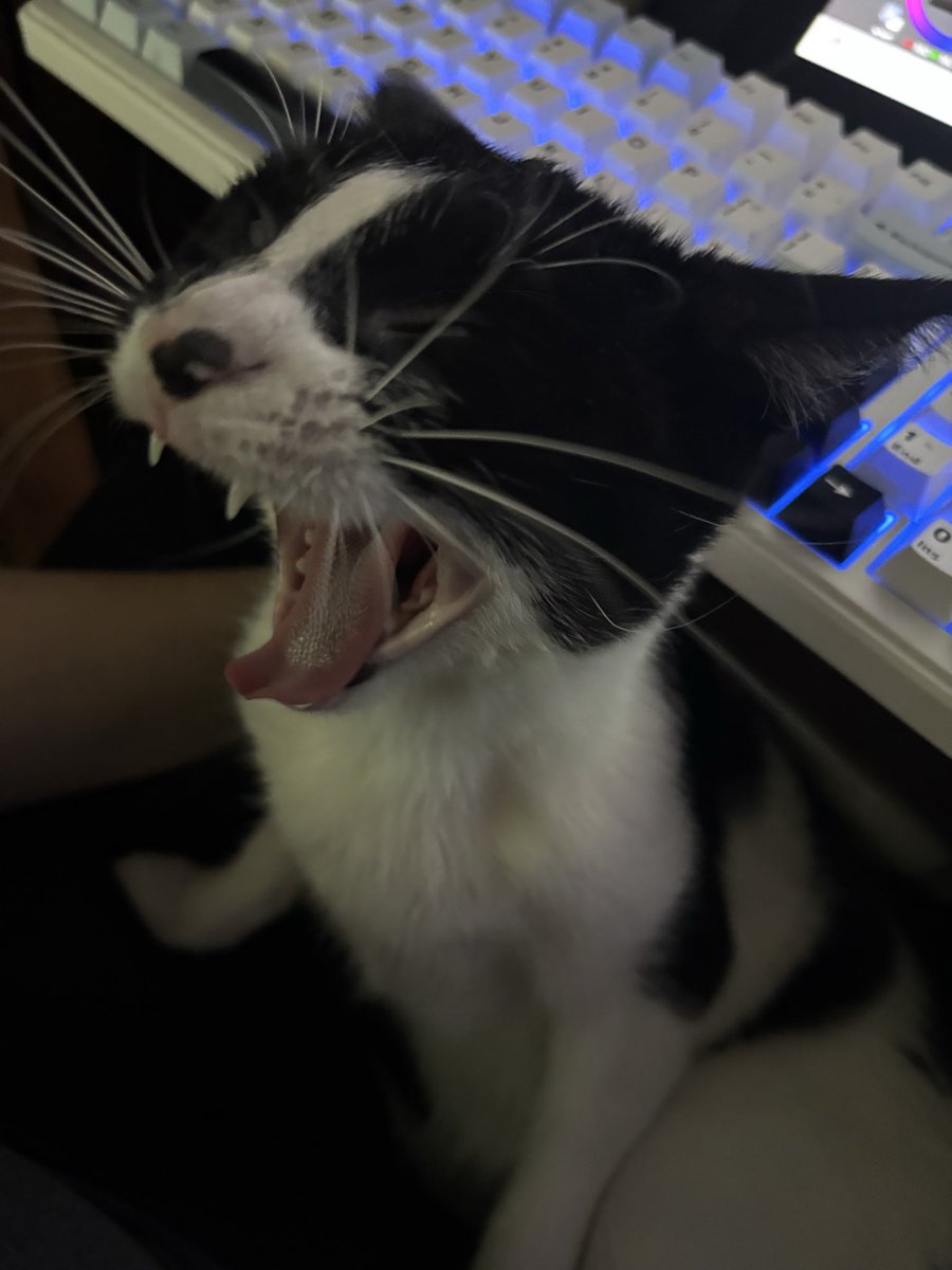 ItsMoffyVT's tweet photo. looks like grandma the fuckin thing.. https://t.co/BZvUnI7Fs0