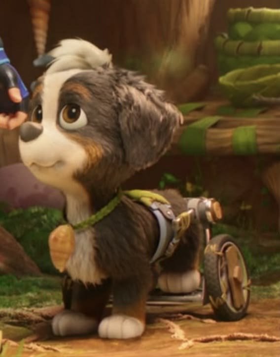 rexthedinopuppy's tweet photo. May this day be a pawderful (wonderful) day for everypup! Update on my condition, I am all good now, just some coughs, but other than that. I am now well. 

Thank you to everypup who send kind messages. 
I appreciate it. 🫶 https://t.co/7GuVnbS2jX