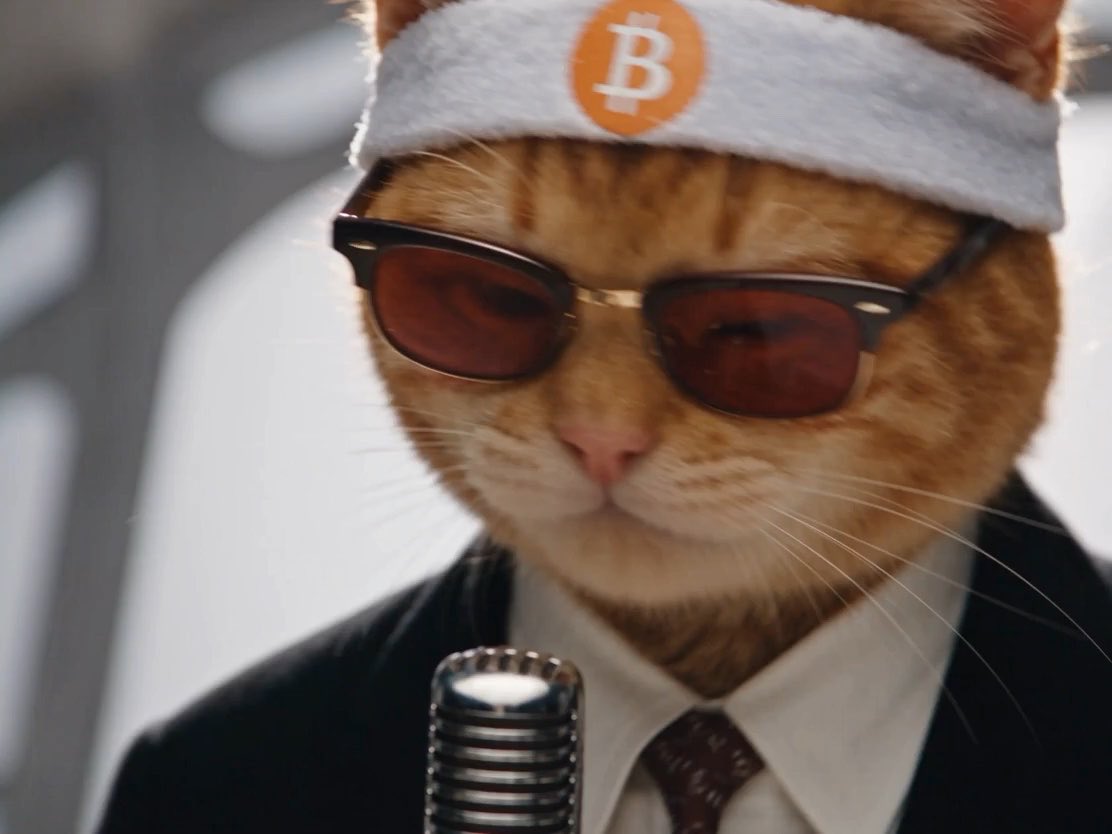 An orange tabby cat wearing sunglasses and a Bitcoin-branded headband stands in front of a vintage-style microphone dressed in a suit and tie.