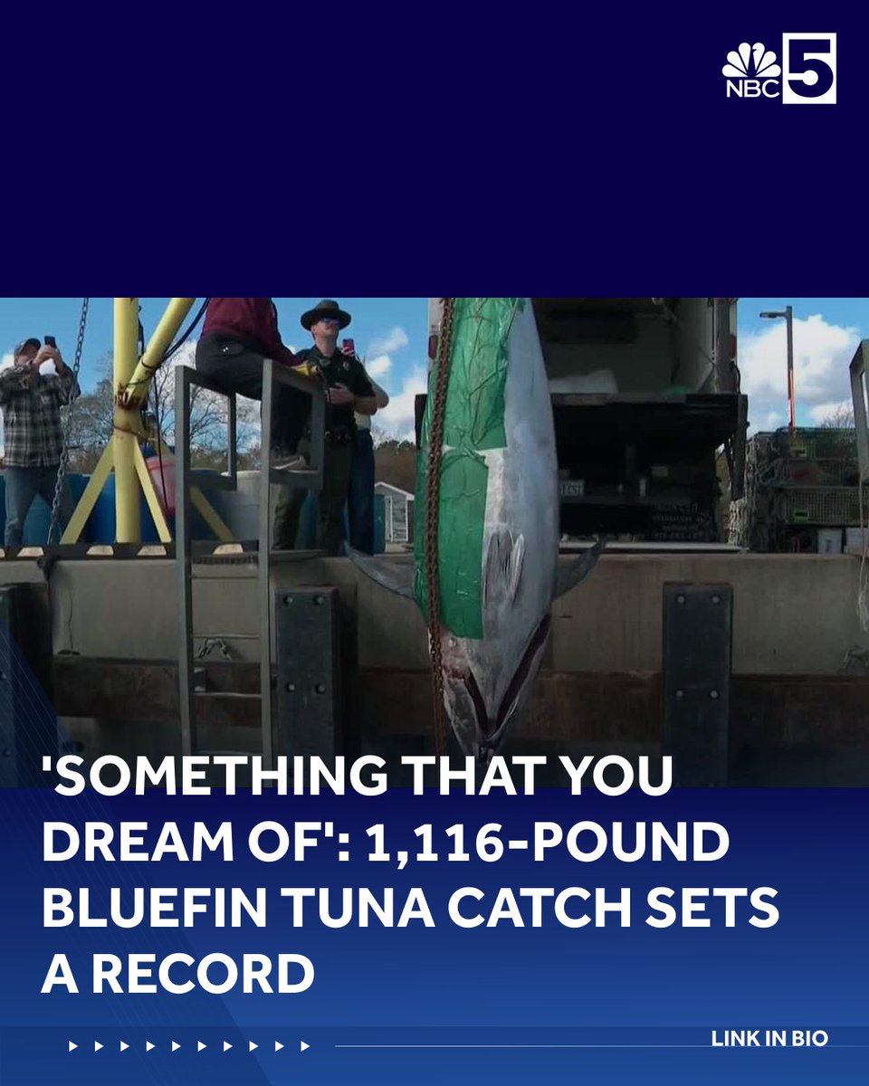 MyNBC5's tweet photo. 'Something that you dream of': 1,116-pound bluefin tuna catch sets a record | LINK IN BIO https://t.co/W0xMhneAPE