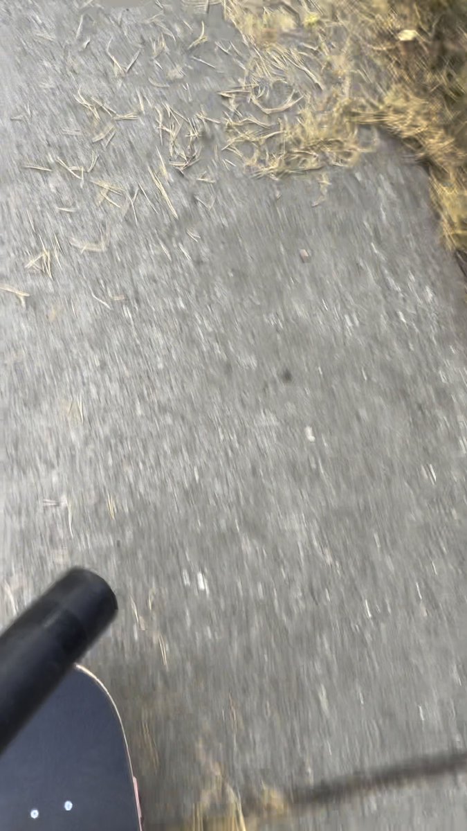 A blurry view shows a paved ground with scattered straw and grass, with what appears to be a scooter handle and skateboard visible at the bottom.