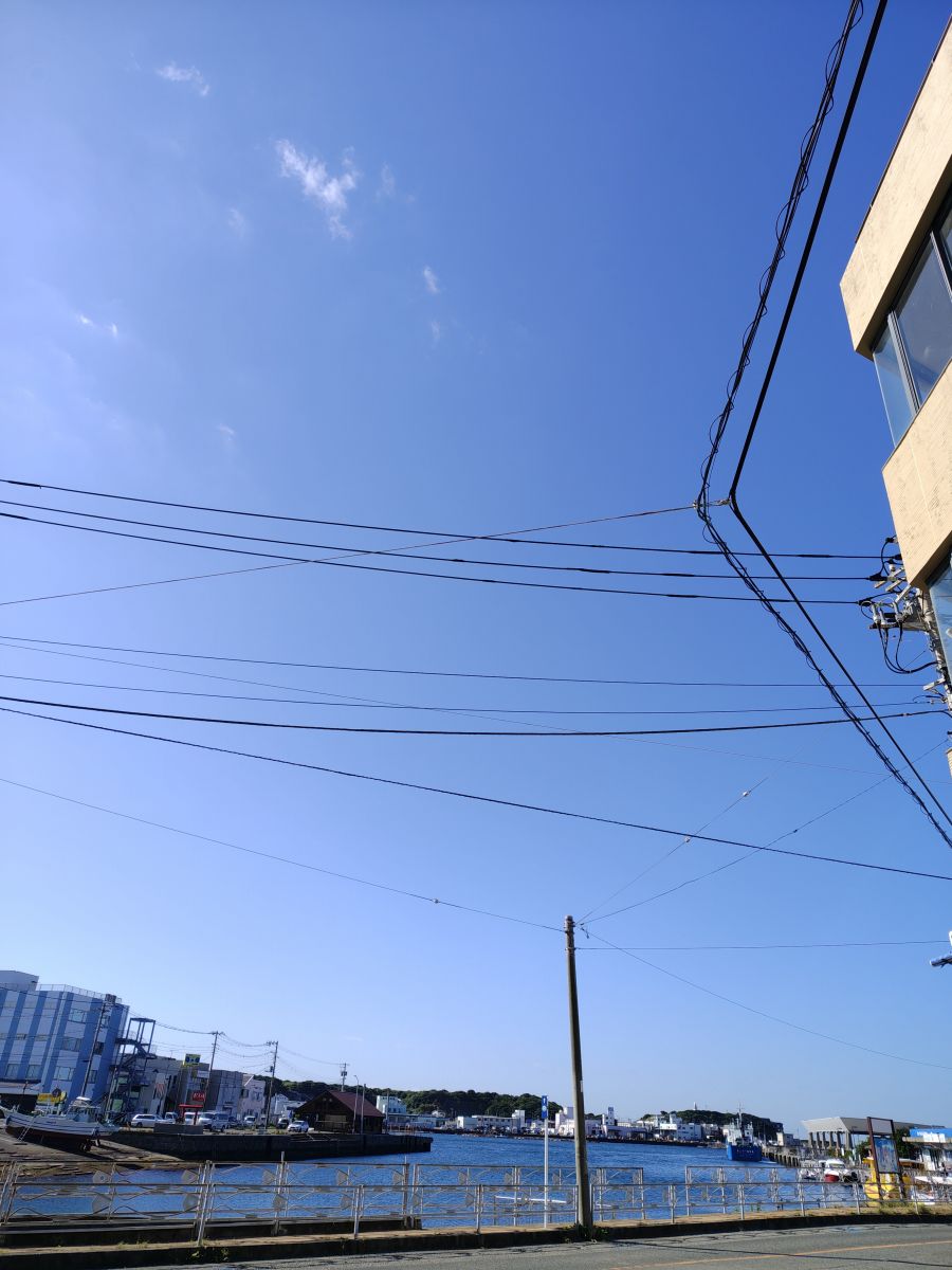 uooto_misaki's tweet photo. おはようございます。
今朝の三浦三崎は晴れです🌞

10月10日まぐろの日まであと少し！
魚音各店舗にて、毎年恒例のまぐろの日キャンペーンを開催予定！
どうぞ、お楽しみに！！

本日もよろしくお願いします🐟

#企業公式が朝の挨拶を言い合う 
#企業公式が毎朝地元の天気を言い合う https://t.co/dZ87Lbuo7n