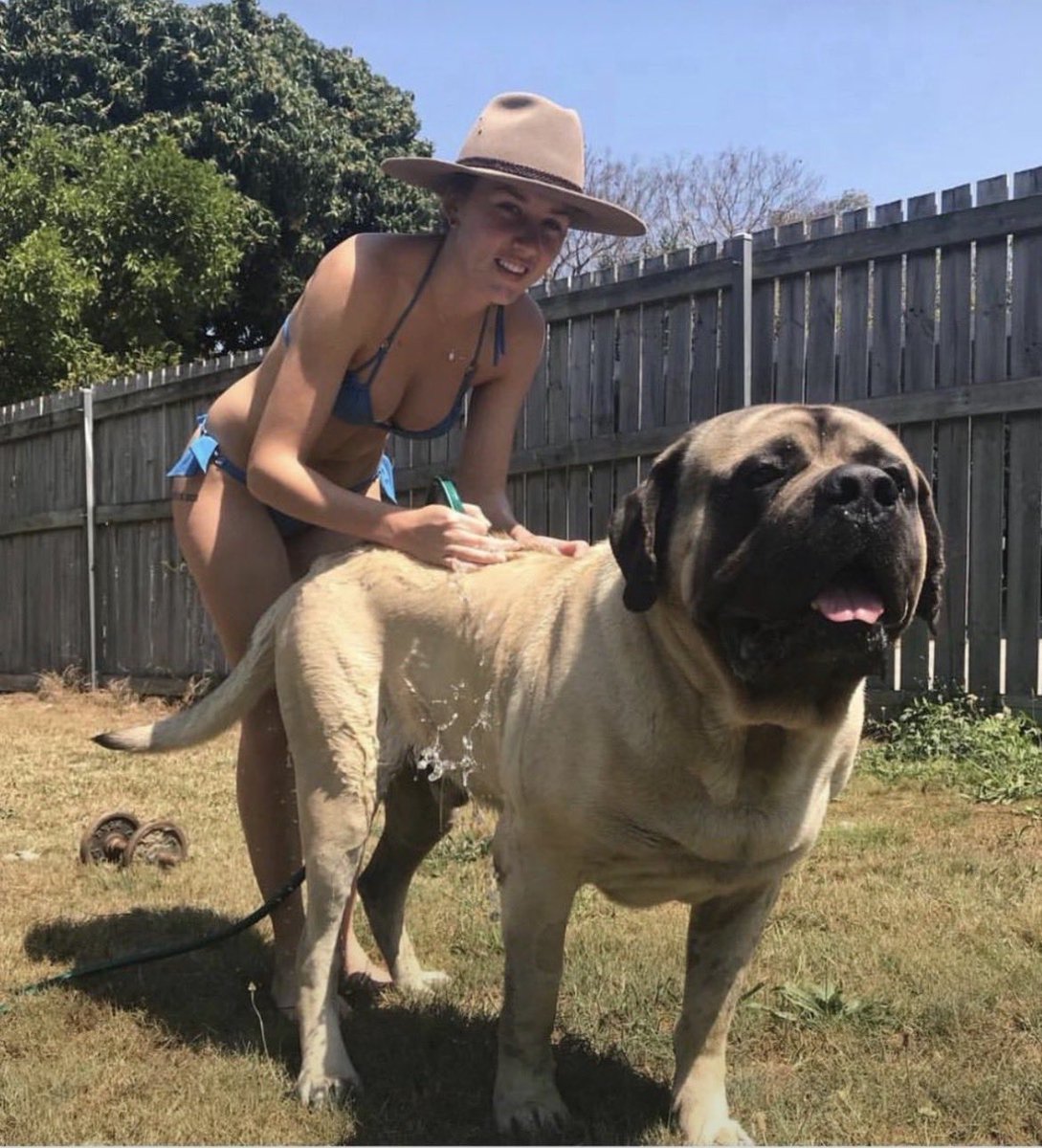 DeHenryco's tweet photo. Feeling the warmth of his cum in me is such a great turn on 😉❤️🔥🐾
Full video is just a dm away ❤️🐕 
Your best knotty model 👑🔥💯🤤

https://t.co/krZKtMnUJG 

#Dogknotting #Beastiality #zoophilia #sexy #pussy #cum #Doglover #nolimit #knotty #zoo #usa https://t.co/sZ0SqIJ4vM