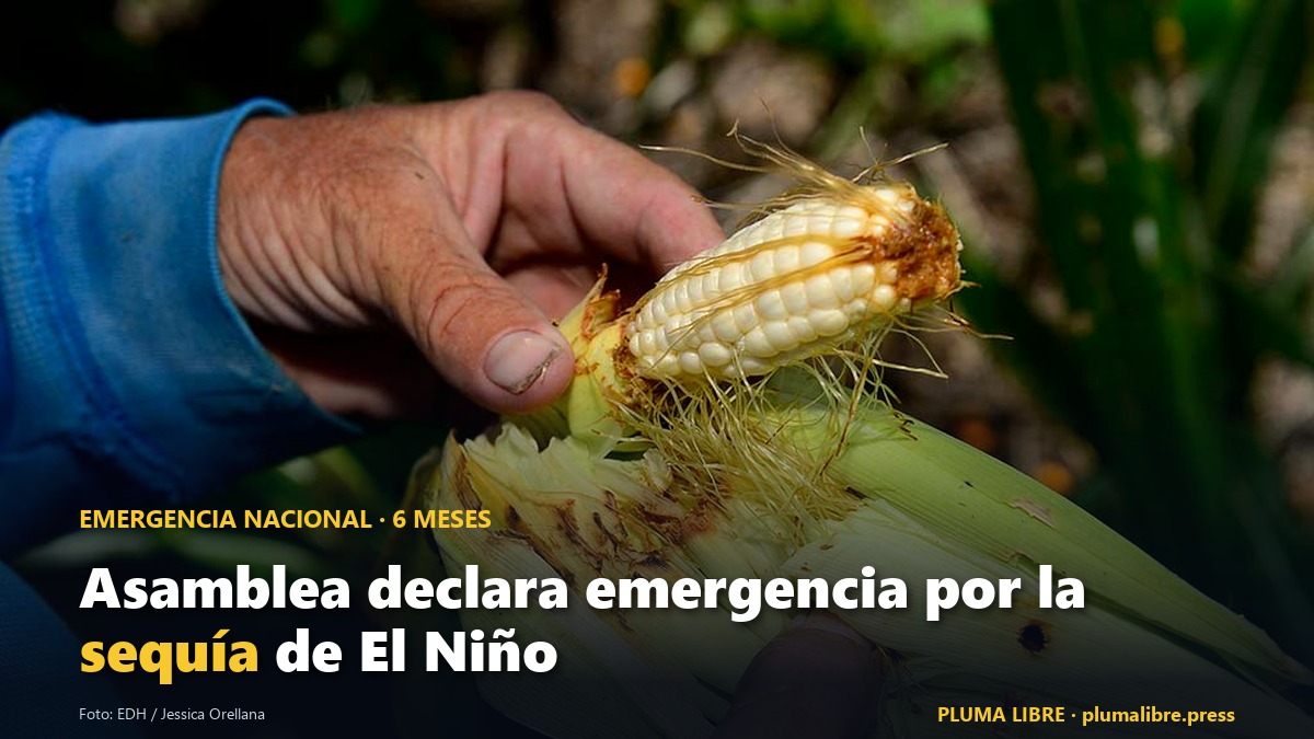 PlumaLibrePress's tweet photo. 🌾 La Asamblea declaró emergencia nacional por la sequía de El Niño: 59 votos a favor y uno en contra, por seis meses. Agosto fue el más seco desde 1971 y hay alerta roja desde el 25 de agosto. https://t.co/xPOytfTgzB