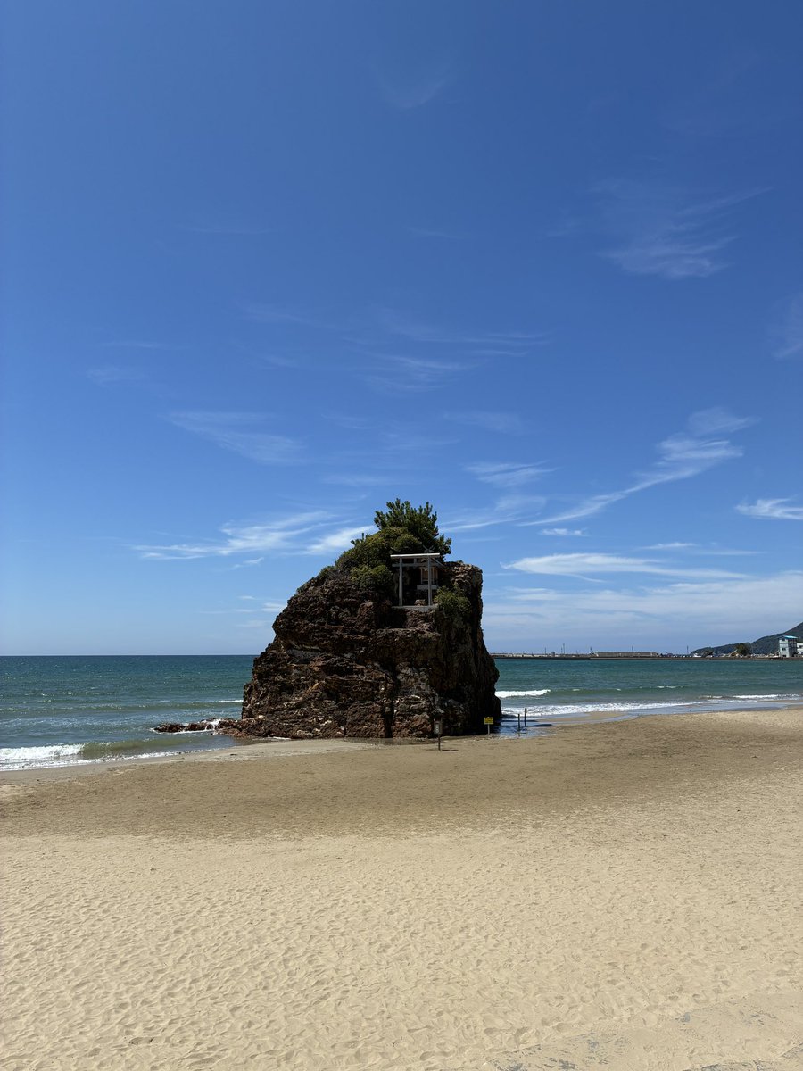 smlmuta's tweet photo. おはよう https://t.co/qek1AlQ1JT