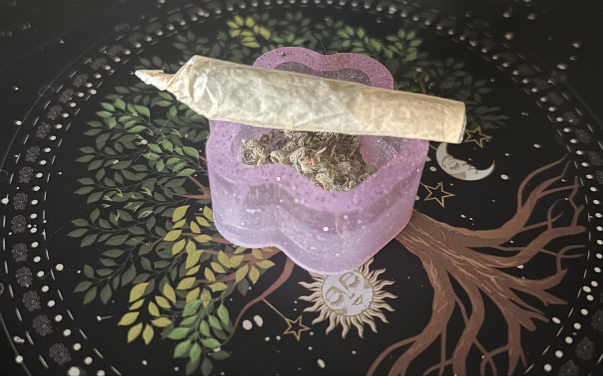 MrsDankIVXX's tweet photo. Rolled a tiny joint!
#StayLitStayRoyal https://t.co/imMj3O5GOD