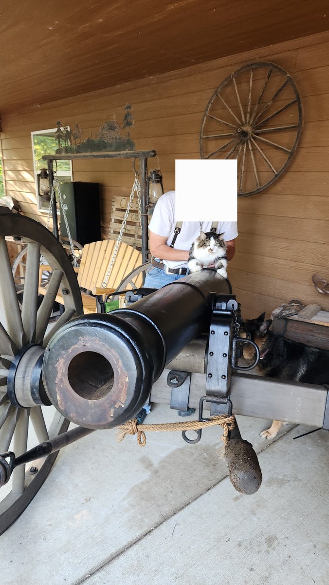 BritBasher's tweet photo. @sarisabach Don't forget to watch out for cannon cat. https://t.co/sLngBjpgqW