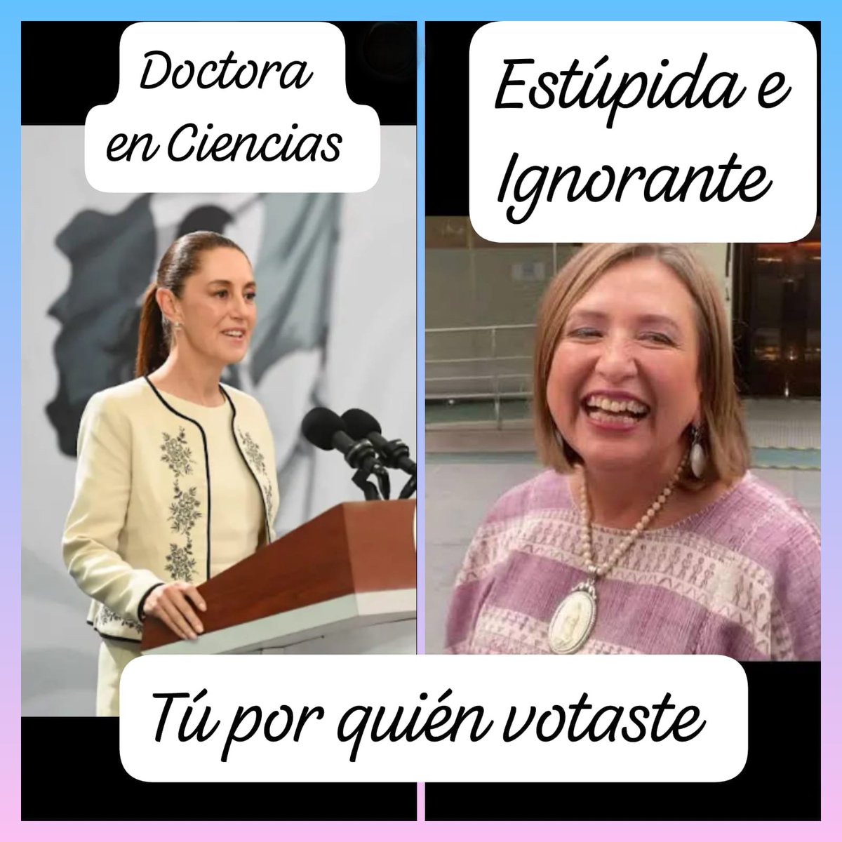 wild_cherry8's tweet photo. @XochitlGalvez Cada quien elige con quién se identifica https://t.co/WpZJ4LB0jO