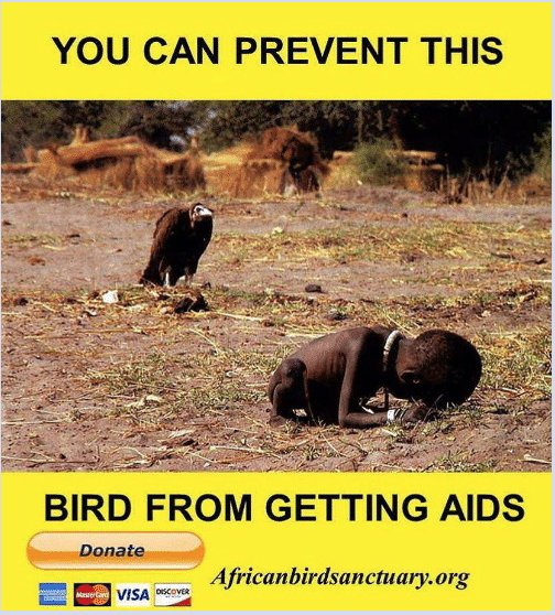 BawlsOPlastic's tweet photo. SAVE THE BIRDS!! https://t.co/vUXQ6kSfcg
