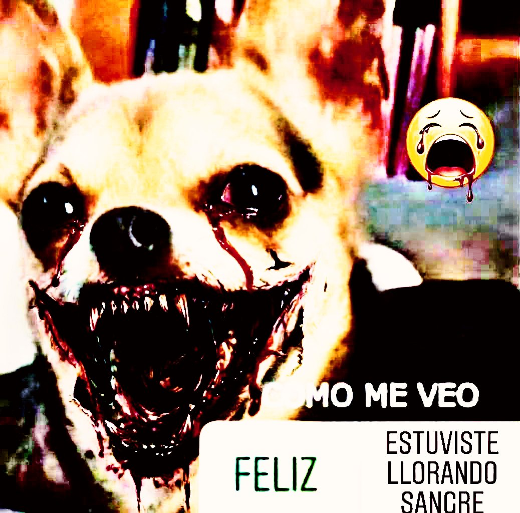 carlitosfornite's tweet photo. https://t.co/VMcu1IYePT