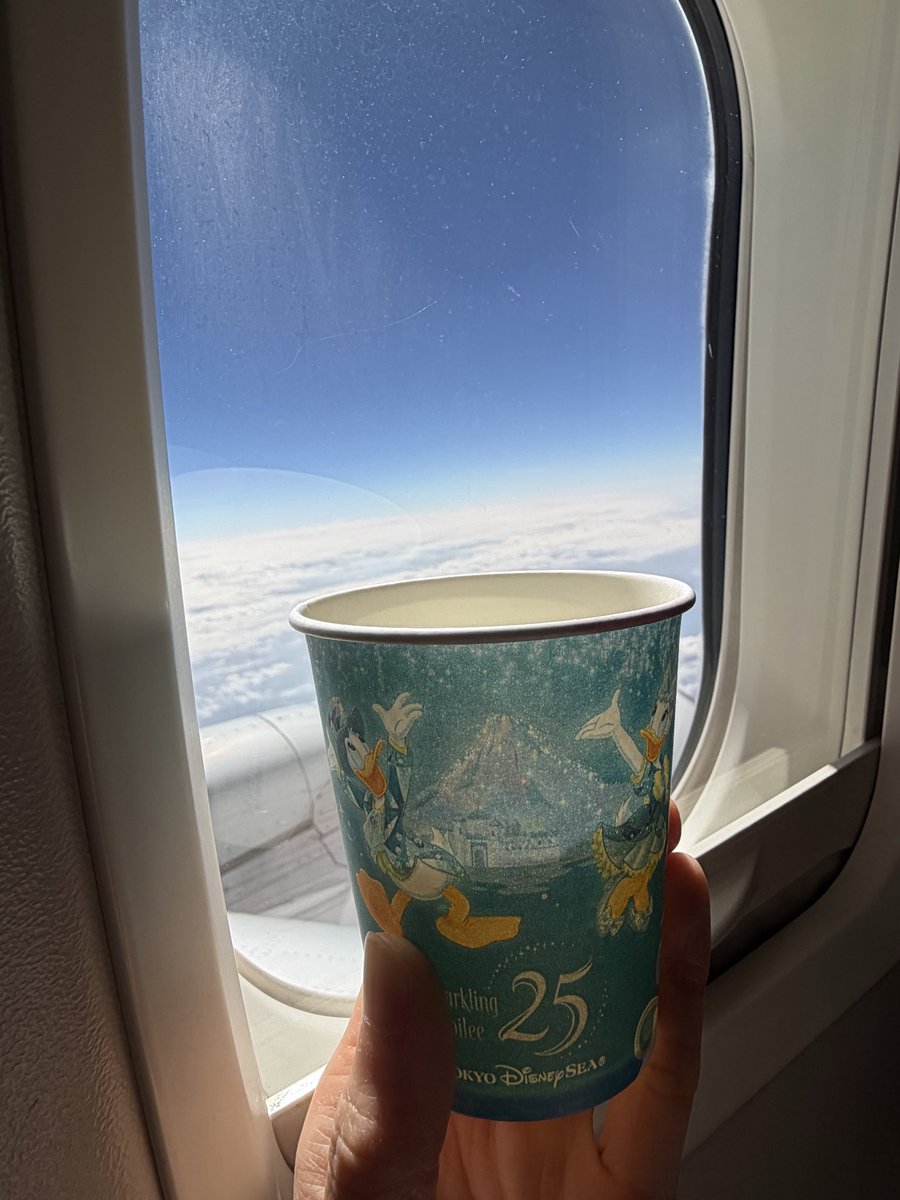 plu_yo's tweet photo. 和歌山へ行った時たまたまジュビリーエクスプレスに乗ることができた✈️
のんびり旅行でリフレッシュ♨️ https://t.co/rgl6GaoACW