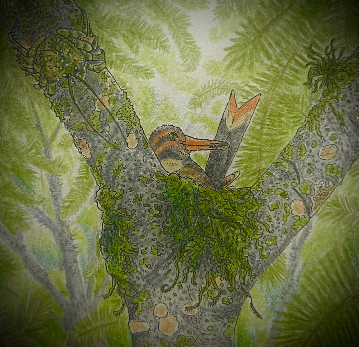 Thespeculator21's tweet photo. The cuckoo crabs are much like many of Antarcticas terrestrial crustaceans, grazing on moss and algae and depositing young in the nest of birds. However in this group, young are Hematophagous parasites.

#Speculativebiology #speculativeevolution #SpecEvo #speculativezoology https://t.co/gcLnLsaeBT