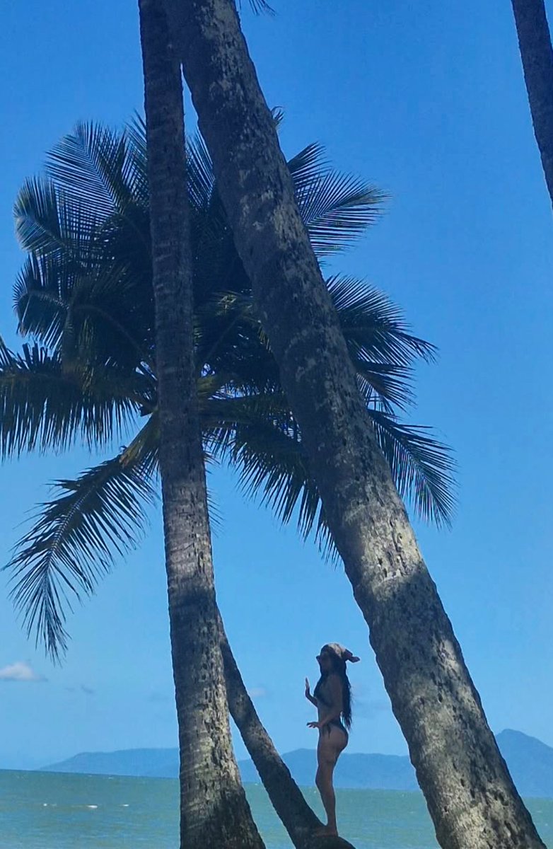 goddessxstevie's tweet photo. Yep, that’s right… it’s a goddess up a coconut tree taking all your money 🤭 https://t.co/EXo3V5IBzB